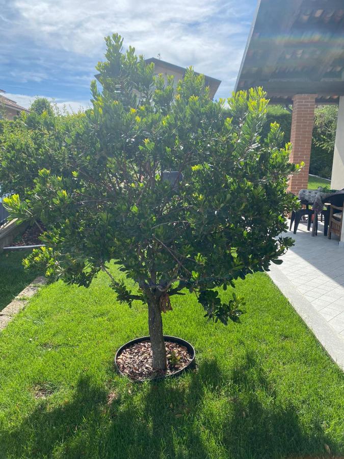 Casa Arge Bed & Breakfast La Morra Bagian luar foto