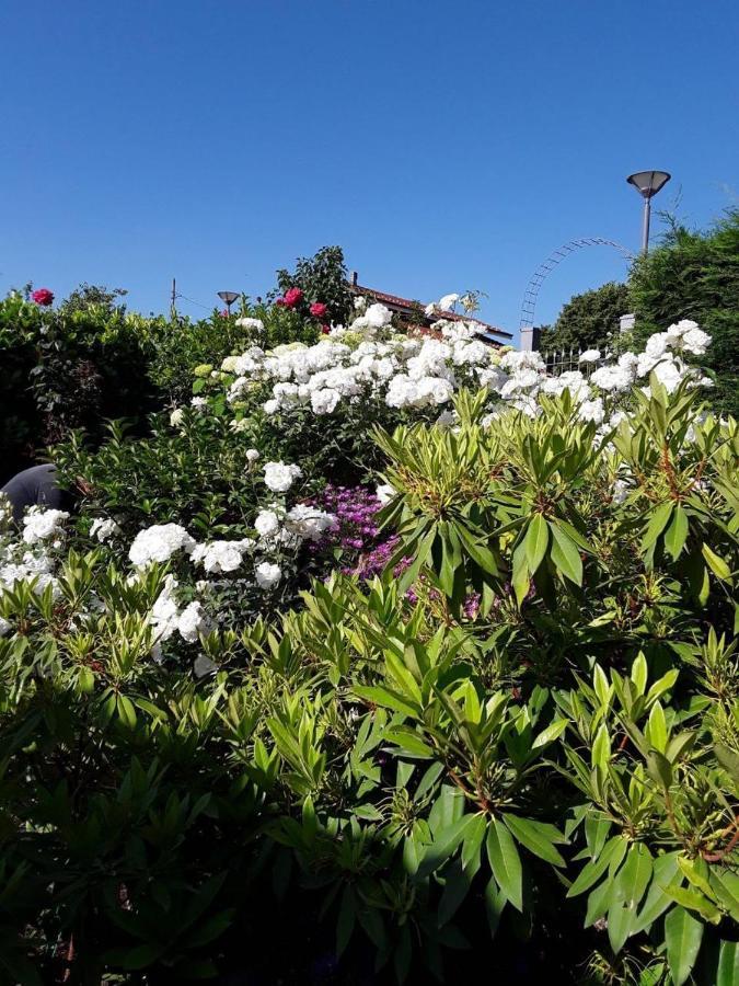 Casa Arge Bed & Breakfast La Morra Bagian luar foto